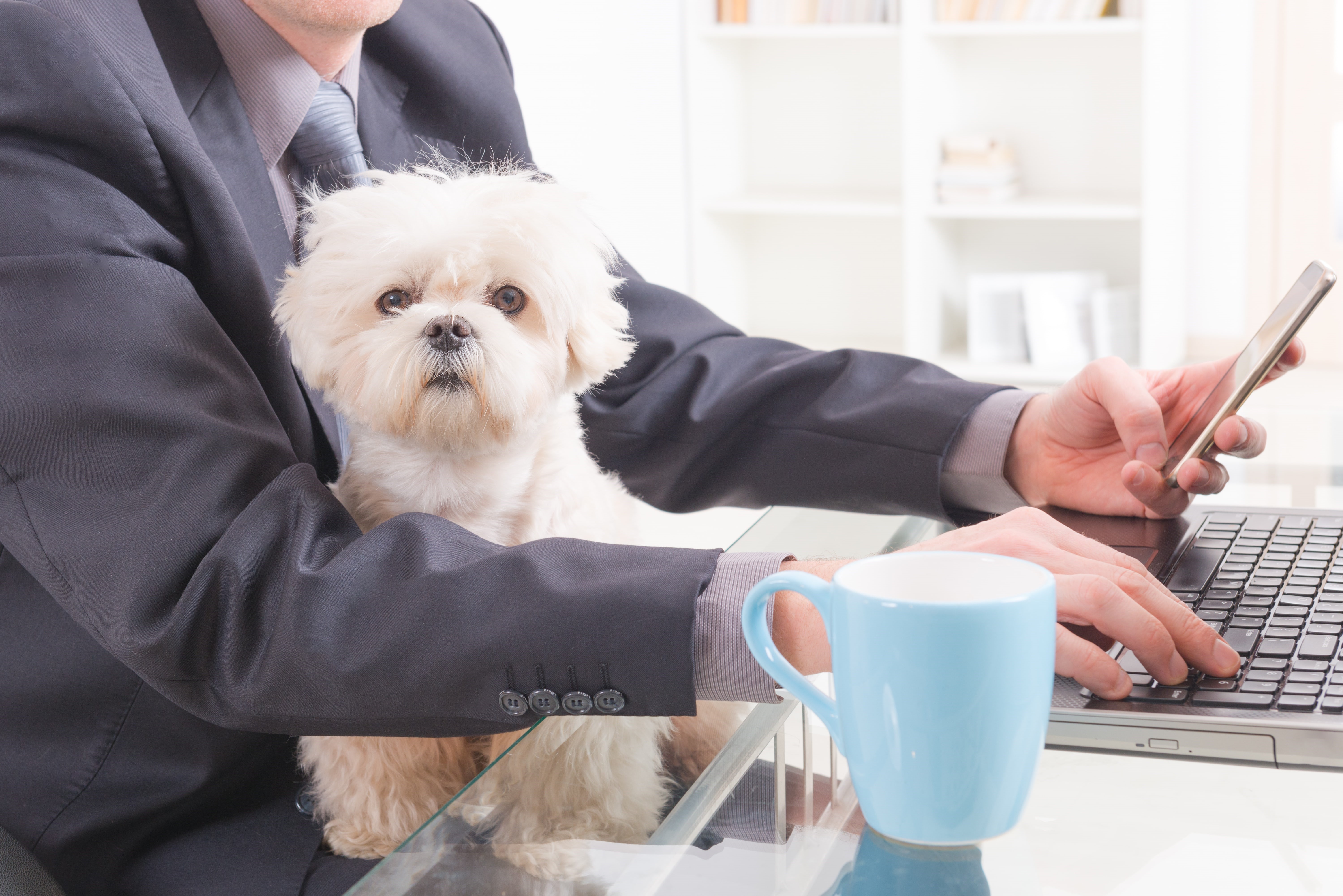 Bring Your Dog to Work Day Blog