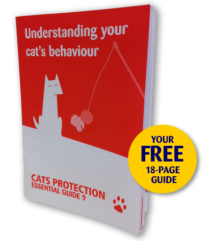 Cats Protection Guide to Understanding Cat Behaviour