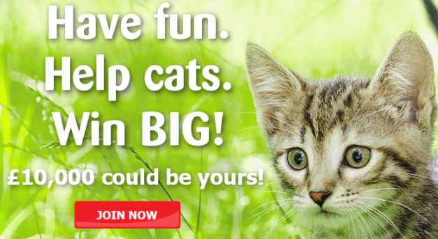 Win £10,000 top prize in Cats Protection lottery