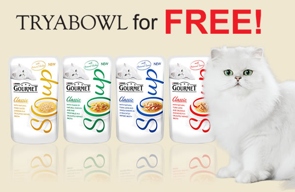 Free Sample Gourmet Cat Soup