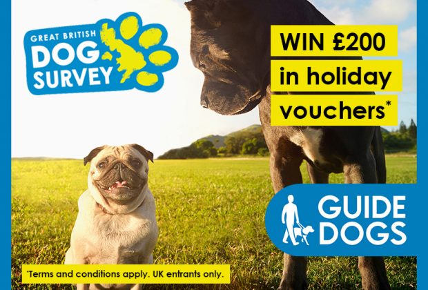 Win Pet Prizes with Great British Dog Survey
