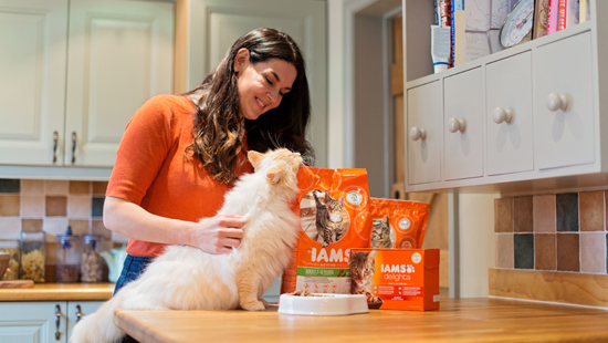 IAMS cat food free sample kit