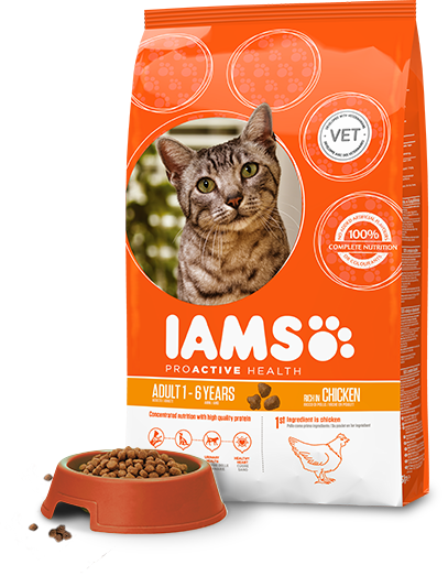 IAMS ProActive Health cat food sample pack