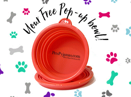 Pets Pyjamas free pet bowl