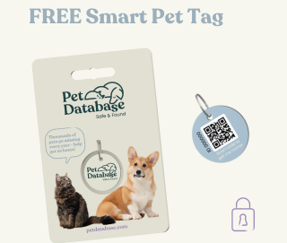 Free Smart Pet Tag