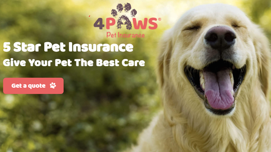 4Paw Pet Insurance best quote