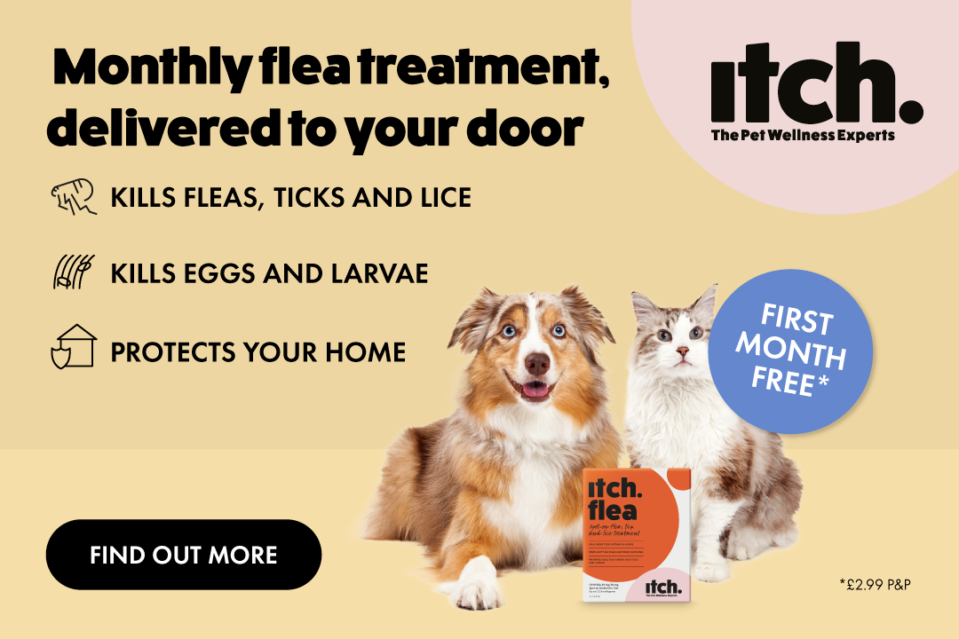 Free month Itch Flea treatment