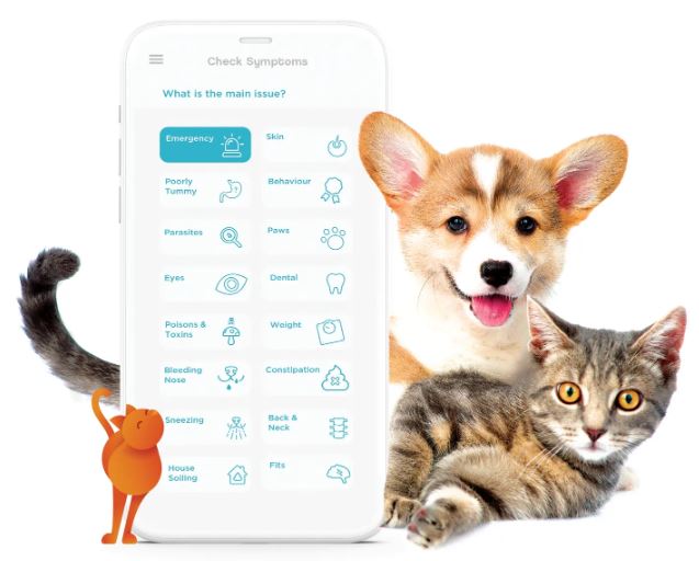 Joii the free pet care app