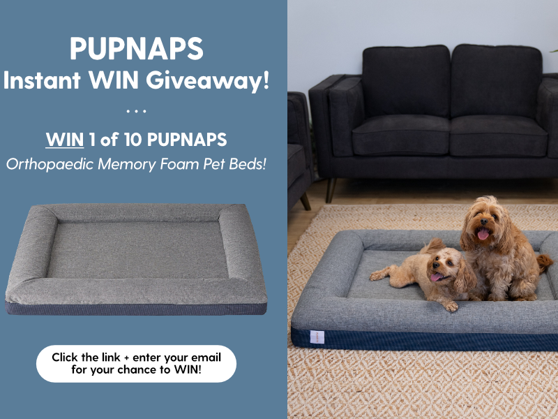 Win free Purnaps memory foam pet bed