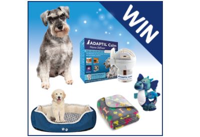 WIN Adaptil Dog Calming Hamper Prizes