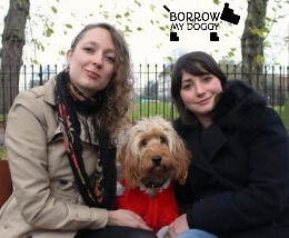 Free sign-up to BorrowMyDoggy