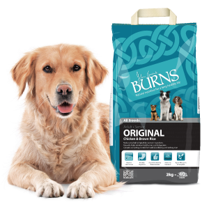 Burns free dog food sample
