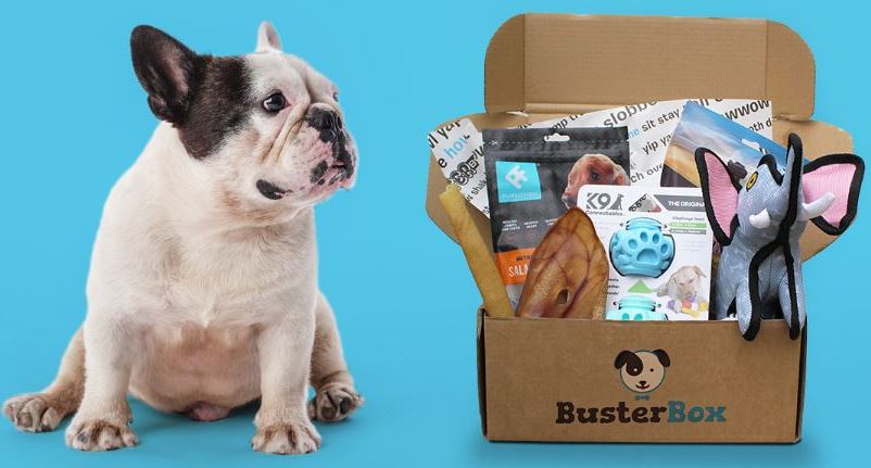 Busterbox free trial