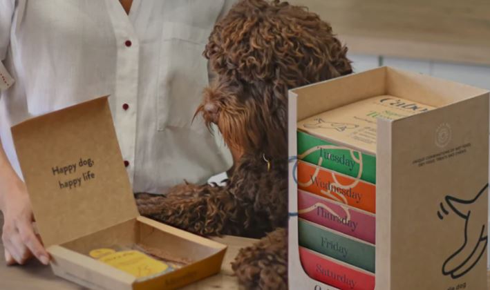 Caboodle Dog Food Box discount code