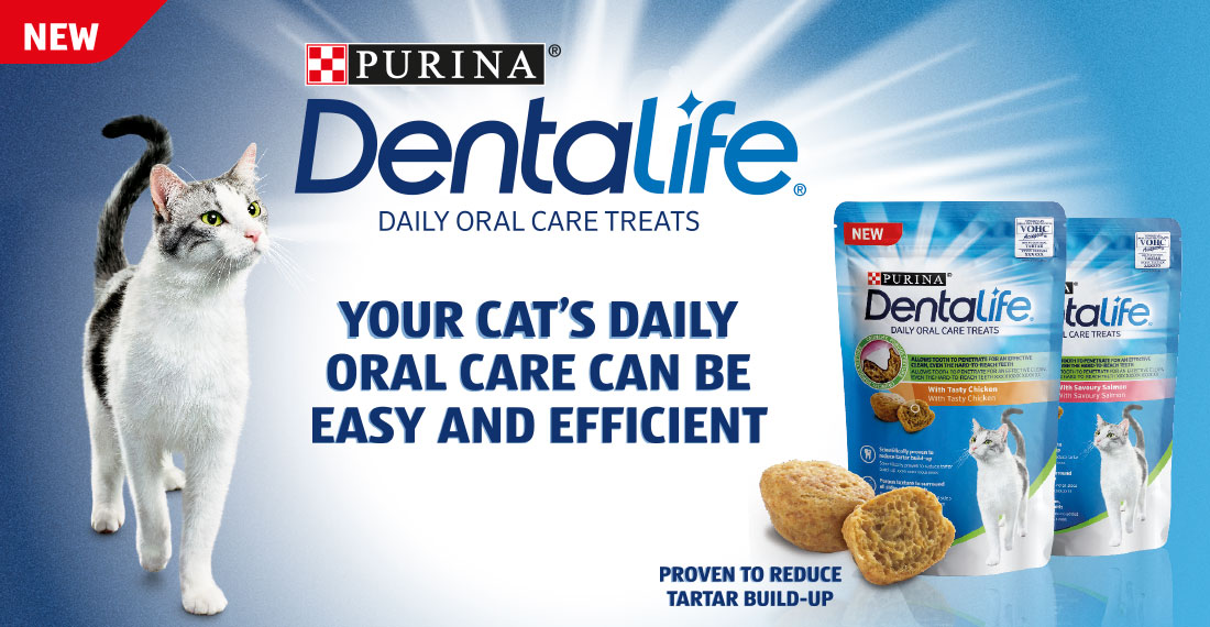 Free Supply Purina Dentalife Dental Cat Chews