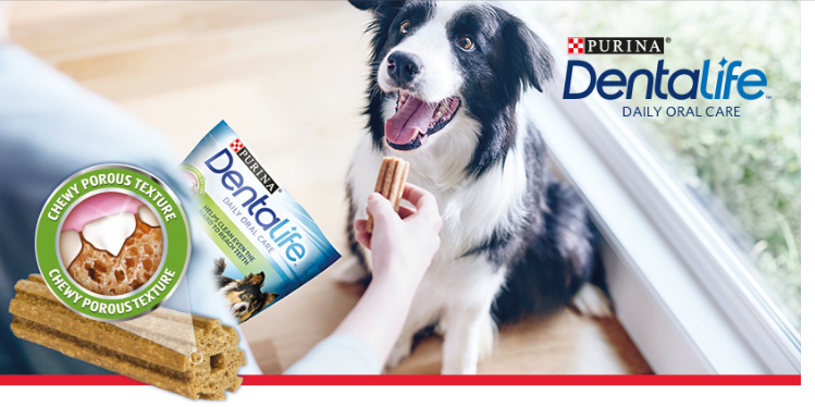 Free Dentalife Dental Dog Chew sticks