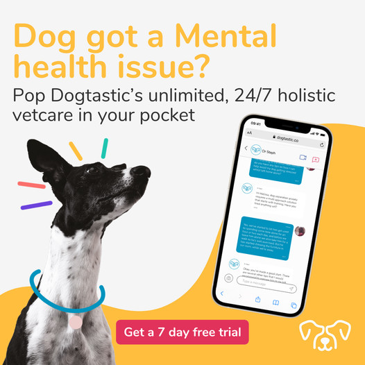 Free dog vetcare app trial
