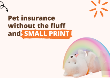 Fluffy Pet Insurance with Free Rewards