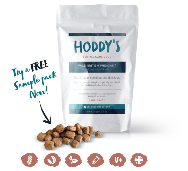Free sample pack Hoddy's dog food