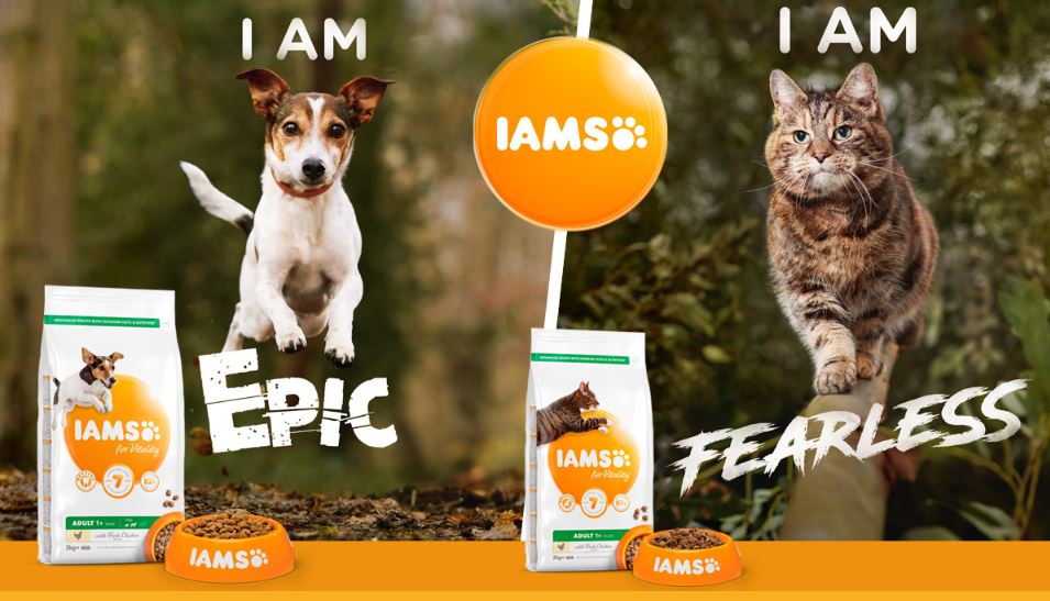 IAMS dog cat food free samples and vouchers