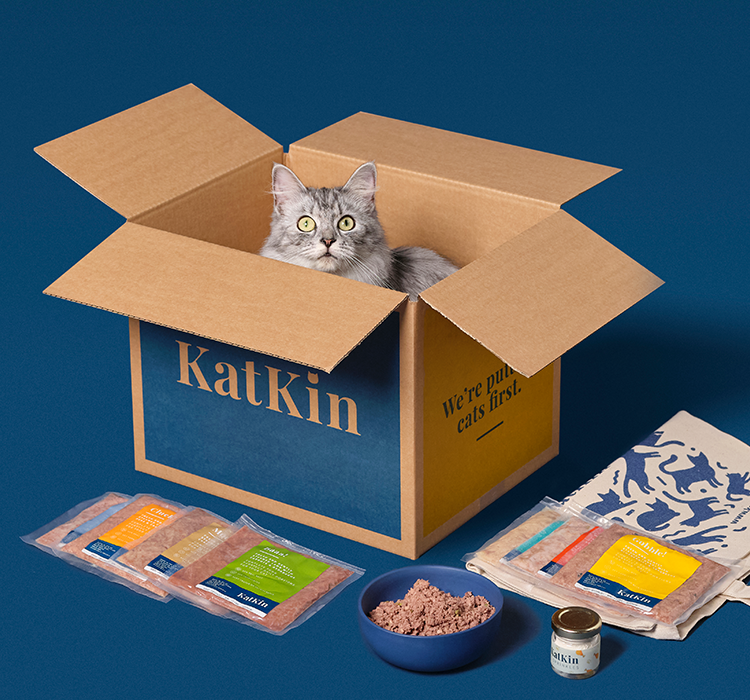 KatKin cat food trial box