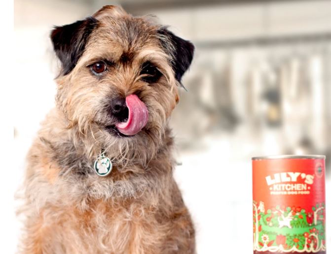 Free Lilys Kitchen pet food samples for cats and dogs