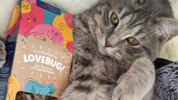 Lovebug insect dry cat food discount code