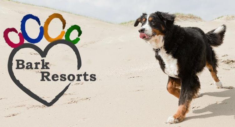 Dog Friendly Park Resorts Holiday Discounts