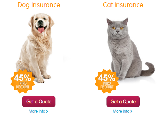 Pet Insurance 45% discount on policy cover