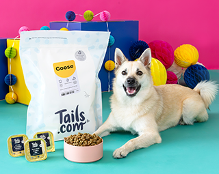 2 weeks tails.com dog food trial pack