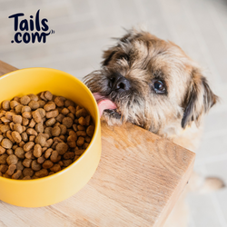 about tails.com dog food