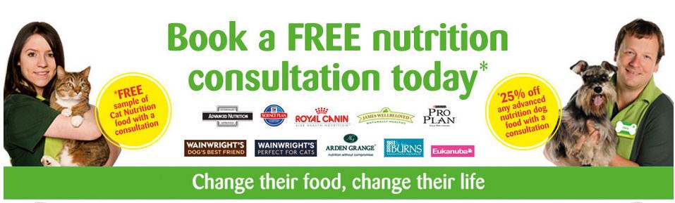 Free Pets at home nutritional dog or cat food advice