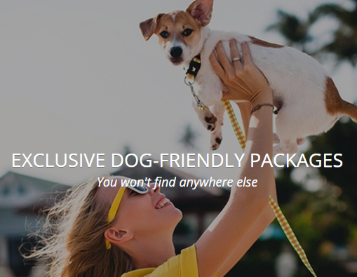 Exclusive Pets Pyjamas dog friendly holiday offers