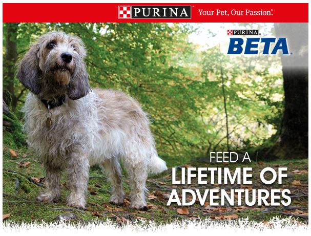 Purina Beta free dog food sample