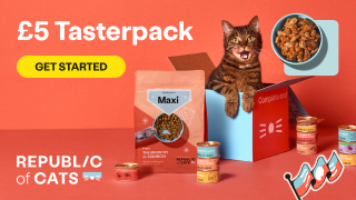 Republic of cats taster box discount code