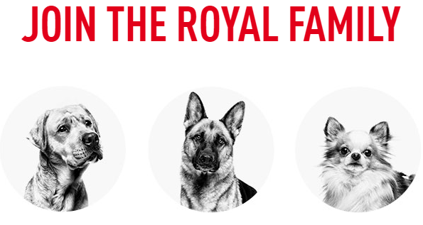 Royal Canin Family Dog Tips and Discounts