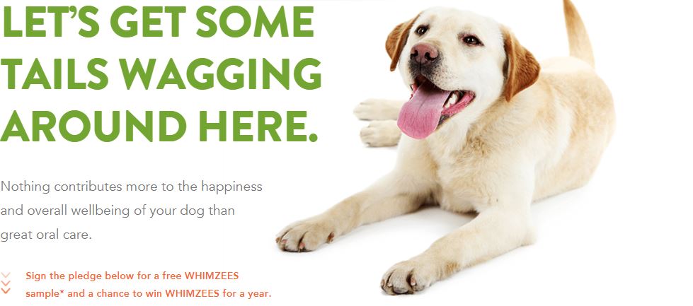 Free Whimzess Dental Dog Chew Sample