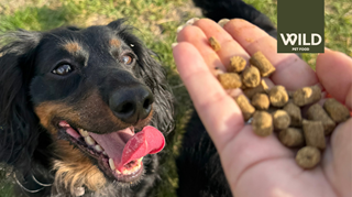 Wild Dog Pet Food