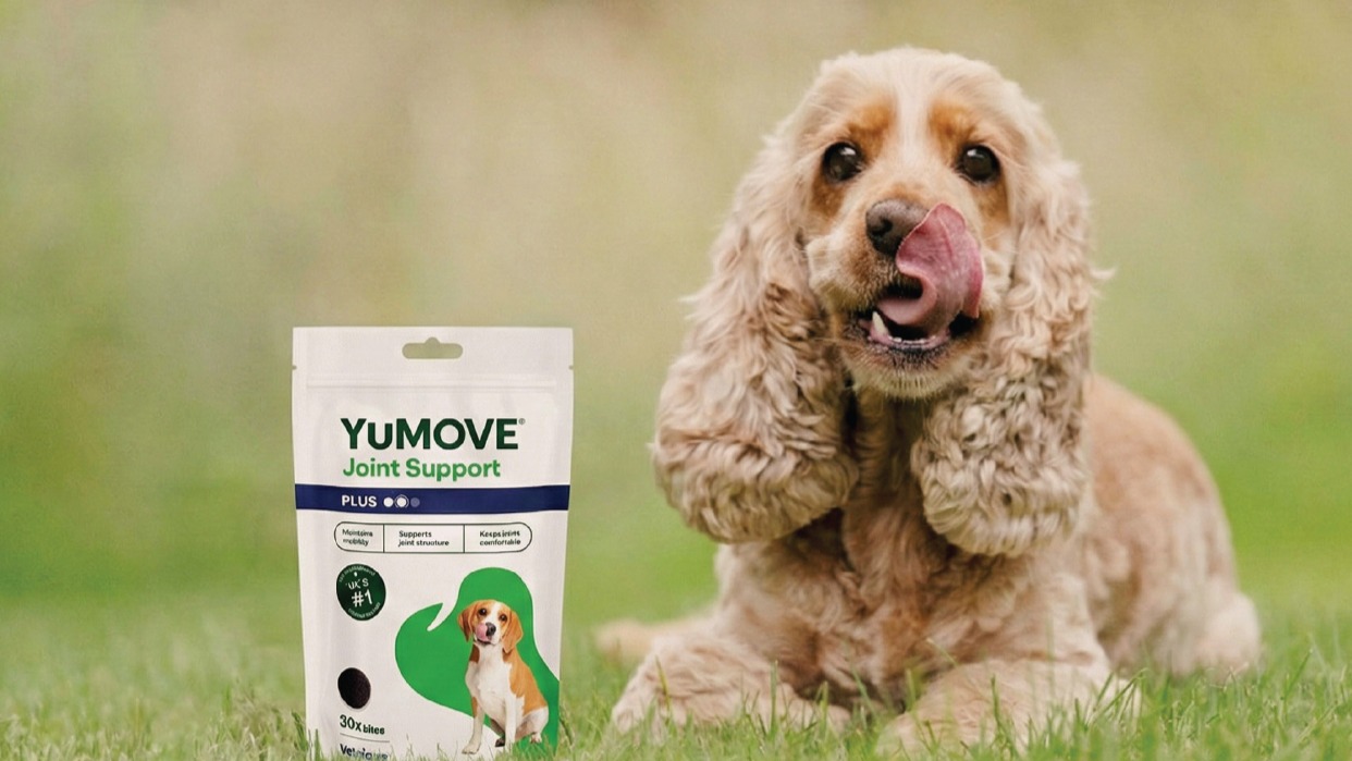 Yumove